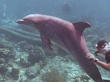 Curacao 04-12 393